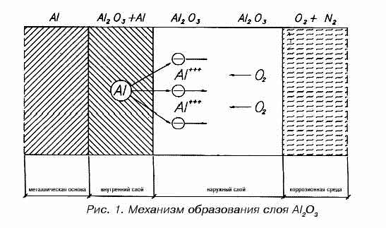 Рис. 1